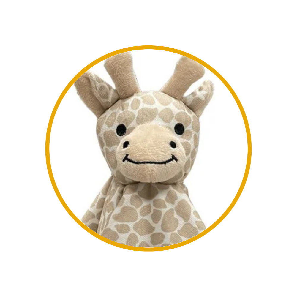 vovocorujadescricoes 23