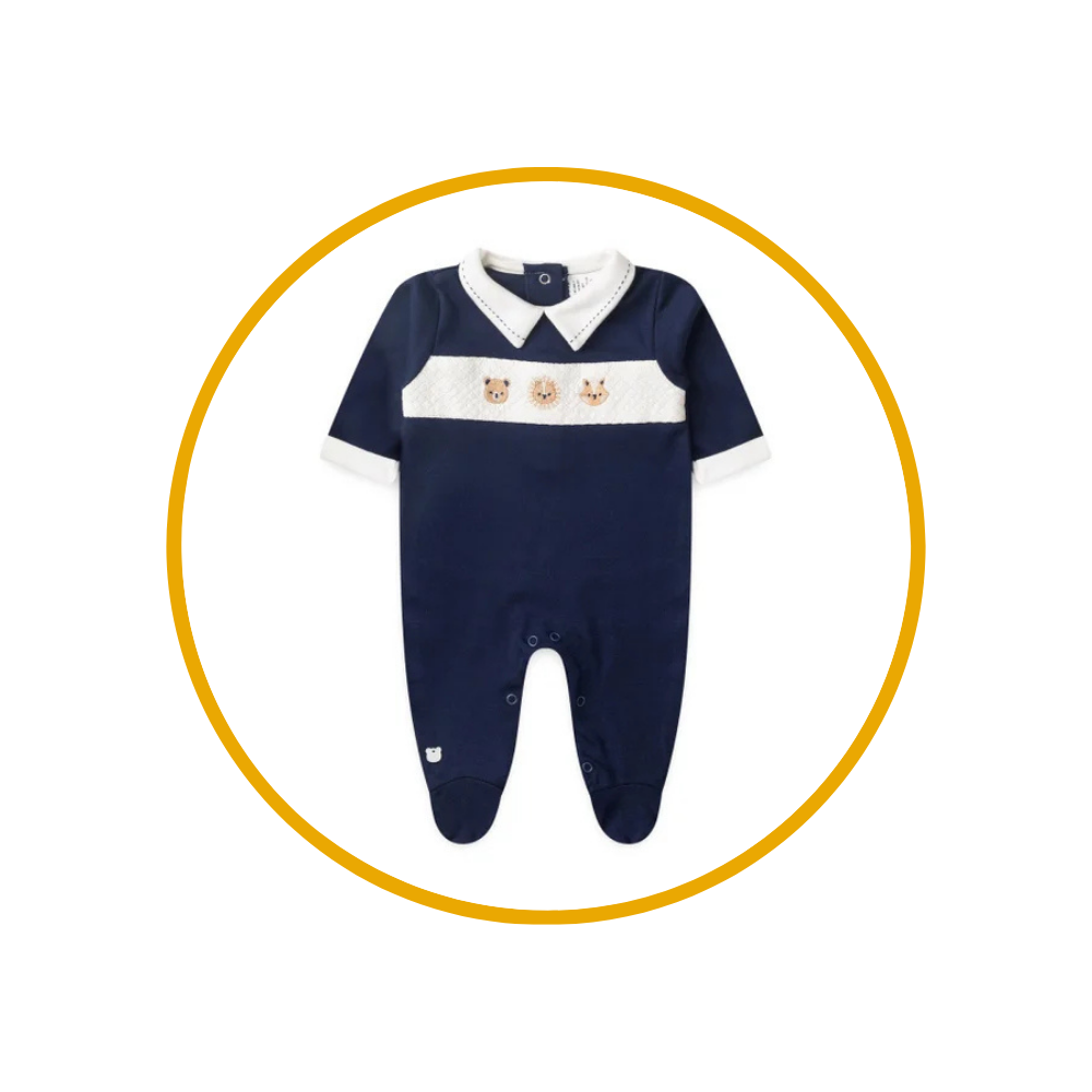 vovocorujadescricoes 16