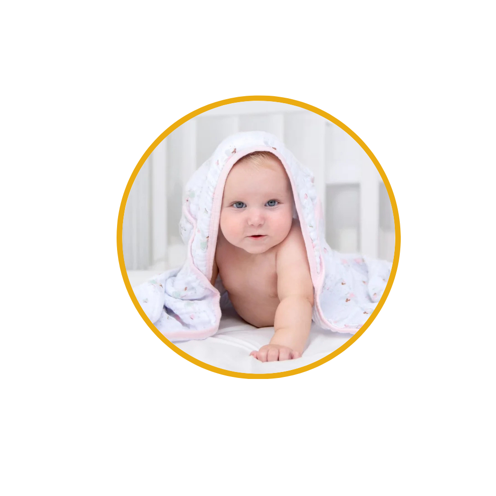 vovo coruja descricoes 4