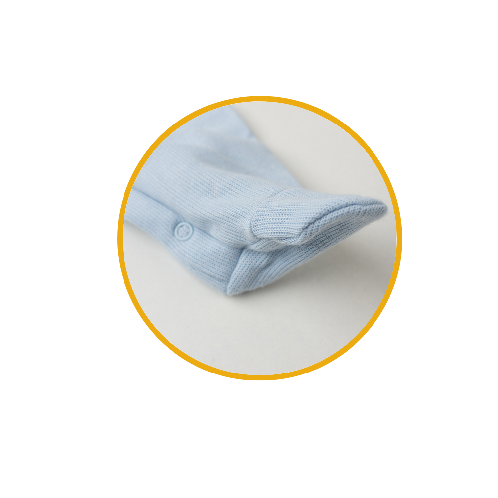 vovo coruja descricoes 1