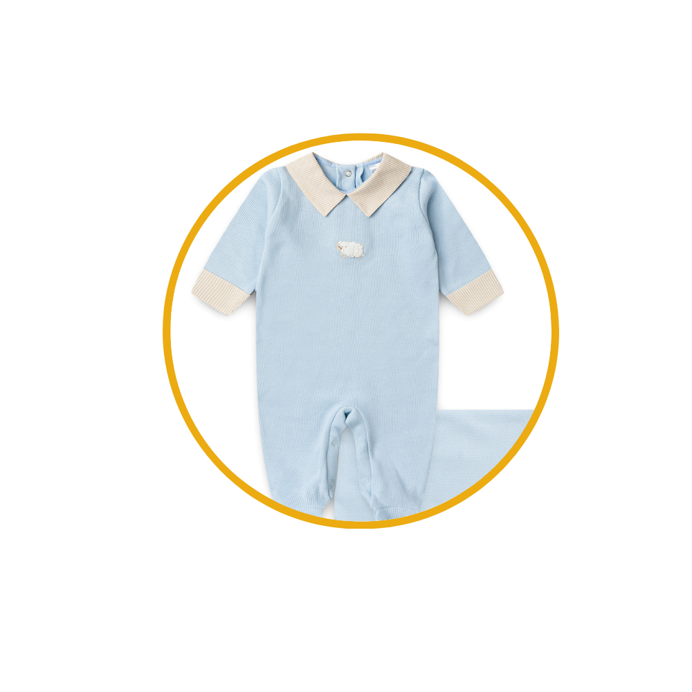 vovo coruja descricoes 7