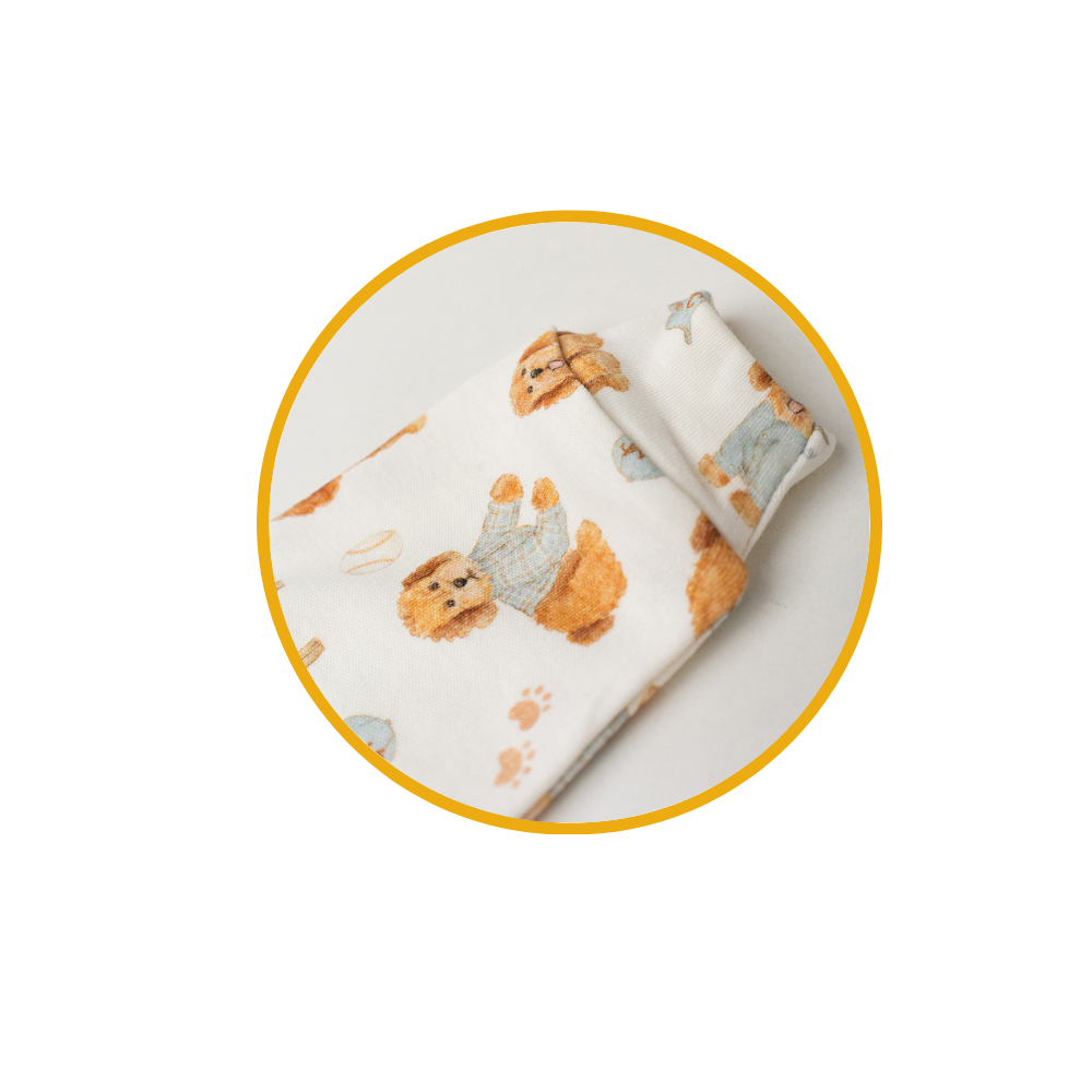 vovo coruja descricoes 8