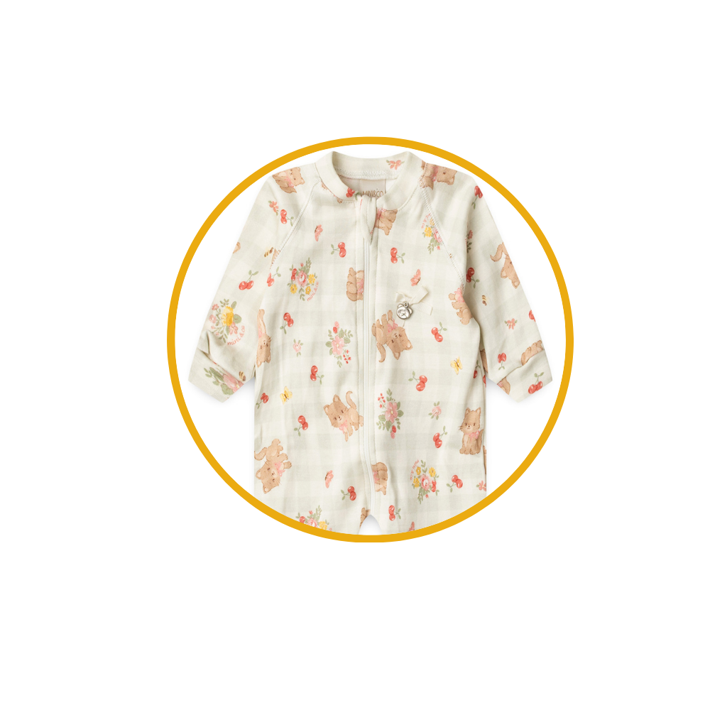 vovo coruja descricoes 2