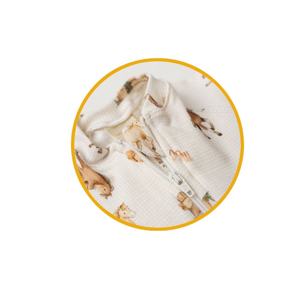 vovo coruja descricoes 1