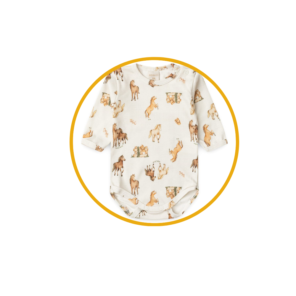 vovo coruja descricoes 5