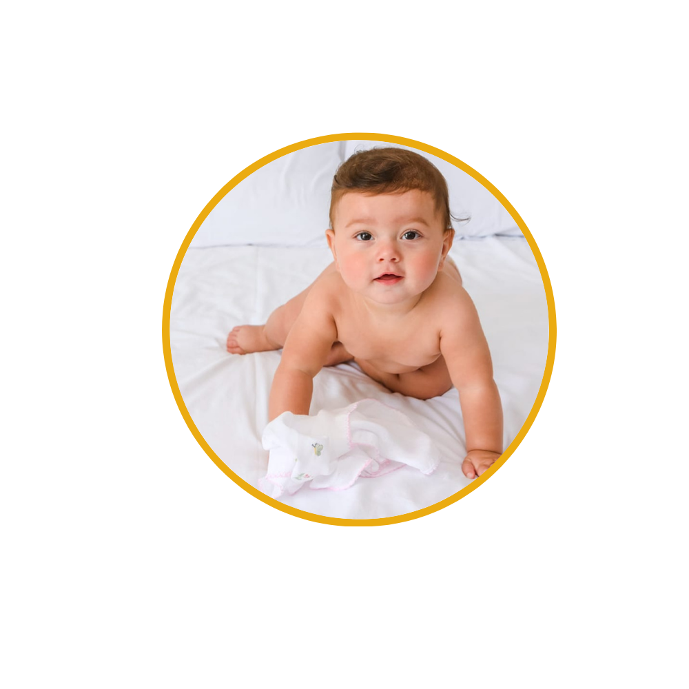 vovo coruja descricoes 8